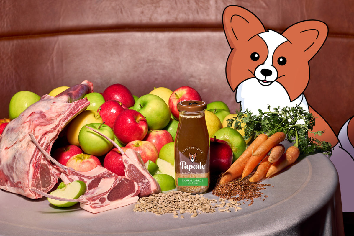 Pupade - Canine Wellness Beverage